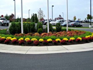 Commercial Landscaping Services in Maryland