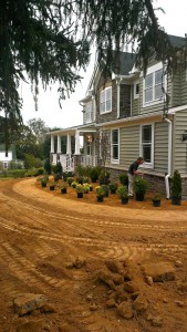 Weed Control and Plants in Frederick Maryland